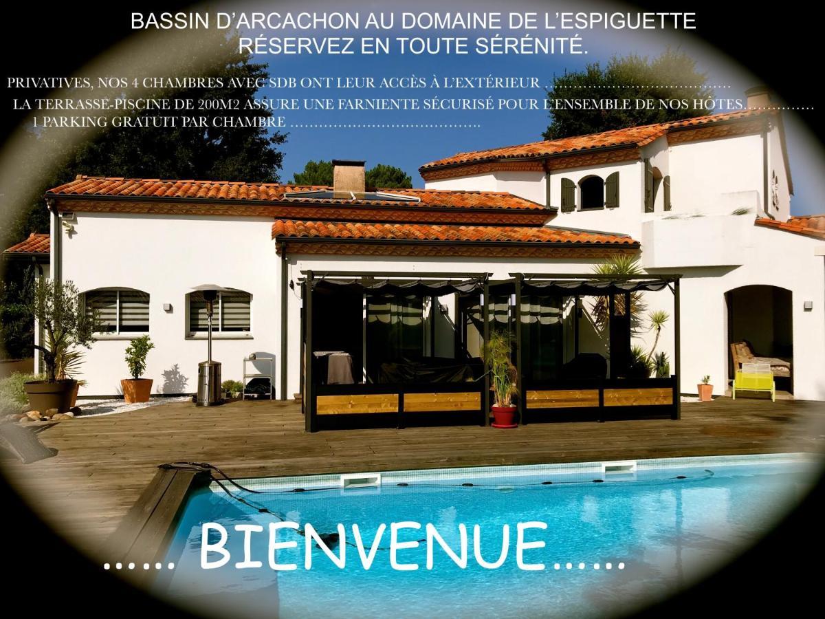 Bed and Breakfast Domaine De L'Espiguette Biganos Exteriér fotografie